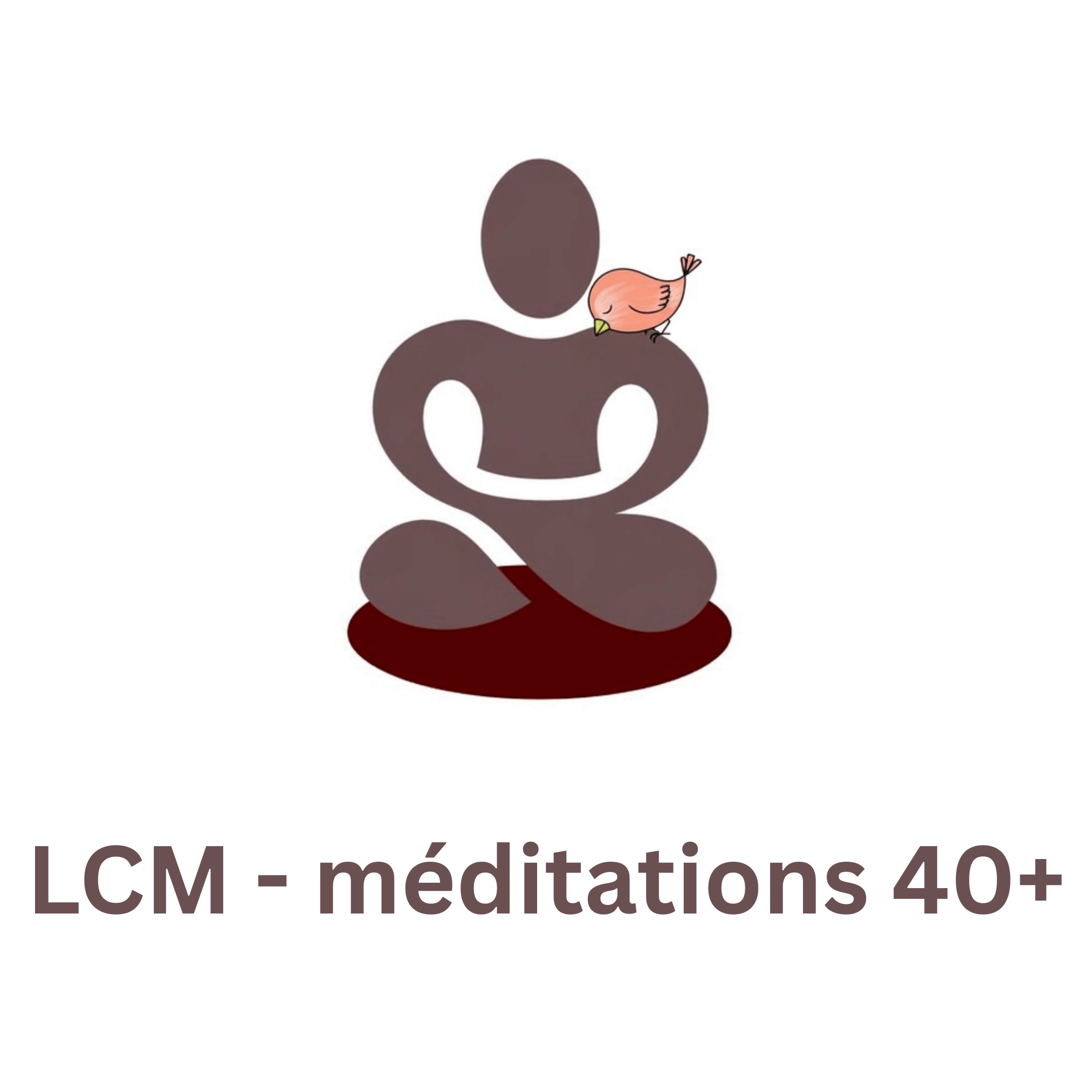 Méditations 40+ pour le chemin méditatif cover art