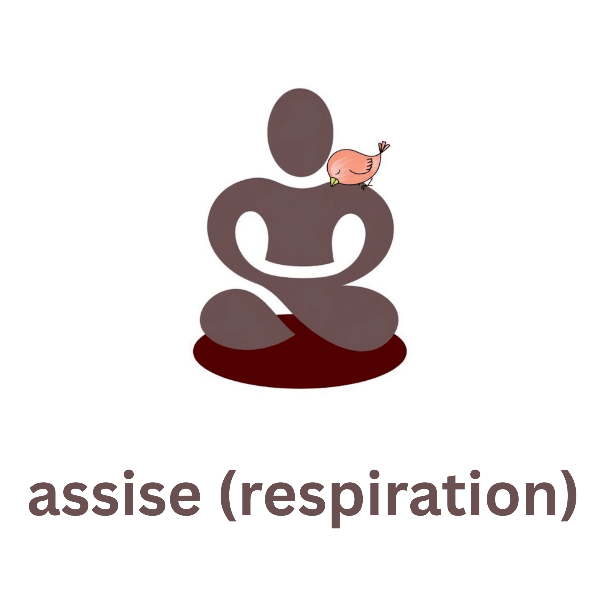 Assises centrées sur la respiration cover art